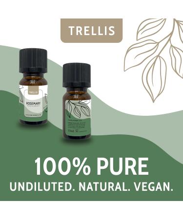 Trellis Rosemary Essential Oil 10ml - 100% Pure Aromatherapy Oil for Diffusers | Vegan & Cruelty-Free | Ethically Sourced from Spain | Bottled in the UK (1 Pack) - Buy Online on GoSupps.com