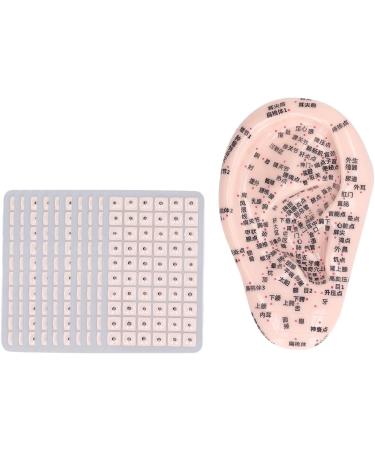 Premium Ear Acupuncture Points & Acupressure Tools - 17cm Probe & 600 Auricle Silicone Model - Buy Online on GoSupps.com