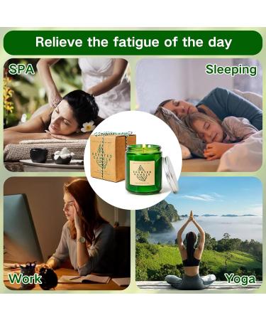 LA BELLEF E Scented Eucalyptus & Sage Candles | Soy Candles for Home & Gifts | Aromatherapy Stress Relief Decor - Buy Online on GoSupps.com