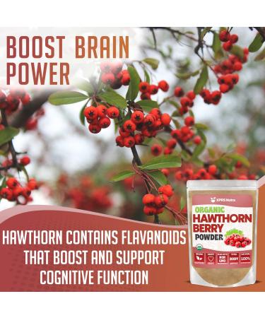 XPRS Nutra Organic Hawthorn Berry Powder - Premium USDA Certified Cardiovascular Support Supplement - Vegan Friendly 16oz - Buy Online on GoSupps.com