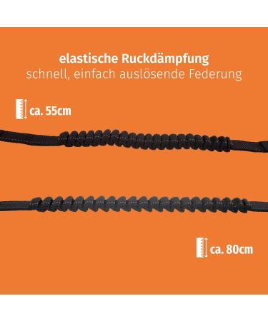 FLOXIK RUTICATIONS Elastic Slear for Medium-Sized Dogs | Bungee Leash Extension for Jogging Cycling & Walking - Black - Buy Online on GoSupps.com