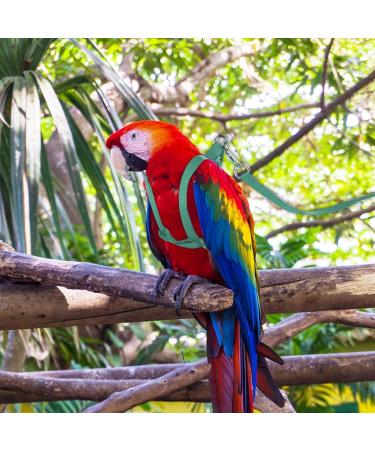 Camidy Adjustable Bird Harness and Leash Kit Macaw Cockatoos Bird Leash for Parrots Outside Training Walk for Large Bird Parrots Green L - Buy Online on GoSupps.com