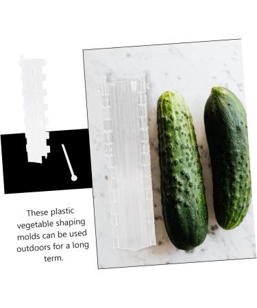 OFFSCH 2pcs Melon and Fruit Shaping Mold Cucumber Growing Cucumber Forming Shape Cucumber Heart Shape Heart Shaped Cucumber Star Mold Cucumber Shaping Molds Rigid Plastic Gourd - Buy Online on GoSupps.com