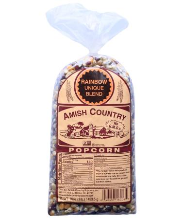 Amish Country Popcorn | 1 lb Bag | Rainbow Popcorn Kernels | Old Fashioned, Non-GMO and Gluten Free (Rainbow - 1 lb Bag) Rainbow 1 Pound (Pack of 1)