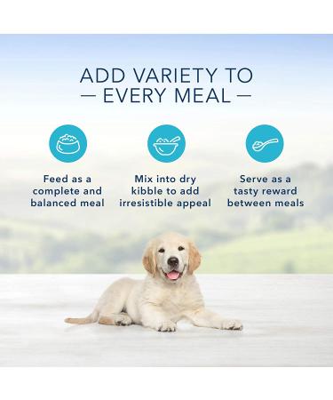 Blue Buffalo Homestyle Recipe Natural Puppy Wet Dog Food - Chicken - 12.5oz Can (Pack of 12) - Buy Online on GoSupps.com