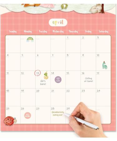 Baby's First Year Calendar by Bright Day - 1st Year Tracker - Journal Album To Capture Precious Moments - Milestone Keepsake For Baby Girl or Boy Fairy - Buy Online on GoSupps.com