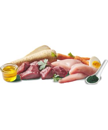 Doggy Dog - Pat - 10 x 150 g - Wild and poultry - Buy Online on GoSupps.com