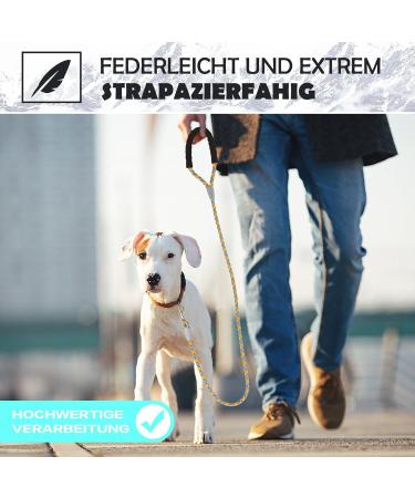 1.5m Thick Dog Leash for Large Dogs | Comfortable Padded Handle | Training Line for Small & Medium Dogs - Buy Online on GoSupps.com