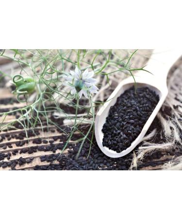 Black Cumin Seeds - 100% Natural - Resealable Biodegradable Fresh Bag (200g) - Buy Online on GoSupps.com