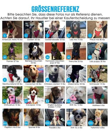 Slowton Dog Harness with Seat Belt | Breathable Latex Puppy Harness for Car Safety | Durable Everyday Sports Harness (Blue L) - Shop Now for International Shipping - Buy Online on GoSupps.com