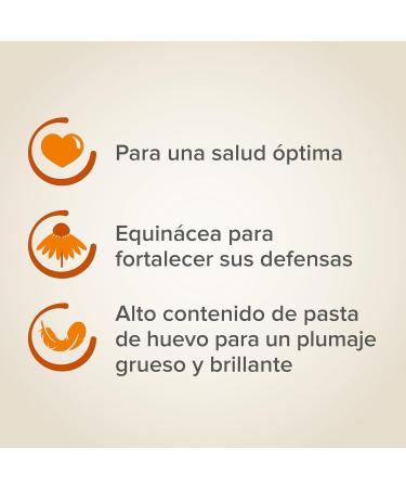 BEAPHAR XTRAVITAL Premium Food for Parrot Contains Fruits Seeds and Egg Pate Strengthens the Immune System Provide - Buy Online on GoSupps.com