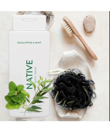 Buy Native Body Wash Eucalyptus & Mint - 16 fl oz with Bath Loofah Sponge | International Shipping Available - Buy Online on GoSupps.com