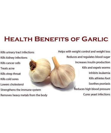 Organic N Natural PROUDLY CANADIAN Garlic Powder-Coarse Granulated NO Preservatives-100% Natural 100g PREMIUM Gourmet Spice Great for Cooking Baking Seasoning - Buy Online on GoSupps.com