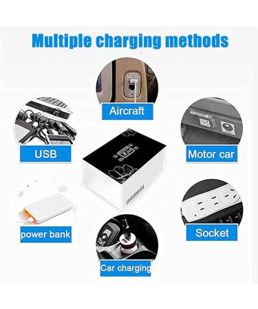 Insulin Refrigerated Box Thermostat Drug Reefer Medical Insulin Cooler Travel Case 2-8 Drug Freezer for Diabetes People USB Refrigerator with Battery Battery*2 - Buy Online on GoSupps.com