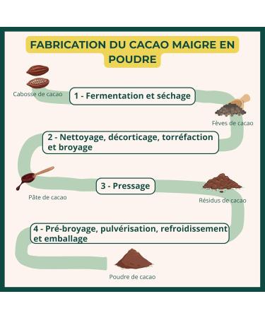 BIOPTIMAL - Cacao Bio en Poudre - Chocolat Chaud P tisserie Dessert - Go t Intense - Sans sucre - Faible en Mati res Grasses - Non Alcalinis - 100% F ve Cacao - Conditionn en France - Ecocert - 300g 300 g (Lot de 1) - Buy Online on GoSupps.com