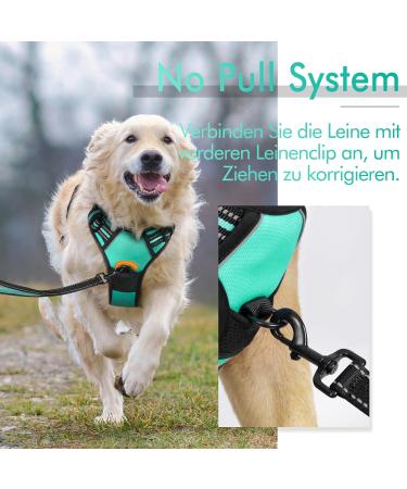 Rabbitgoo No-Pull Adjustable Dog Harness for Medium Dogs - Breathable Control Harness with Reflex Stripes - Safe & Comfortable Mint Green (1 Pack) - Buy Online on GoSupps.com
