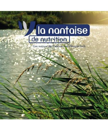 La Nantaise de Nutrition Squid Flour 500g Bag for Bait Boilies Pellets and Baits Powerful Attractant for Sea or River F - Buy Online on GoSupps.com