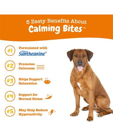 Zesty Paws Calming Bites for Dogs - Peanut Butter Soft Chews for All Ages (90 Count) - Buy Online on GoSupps.com