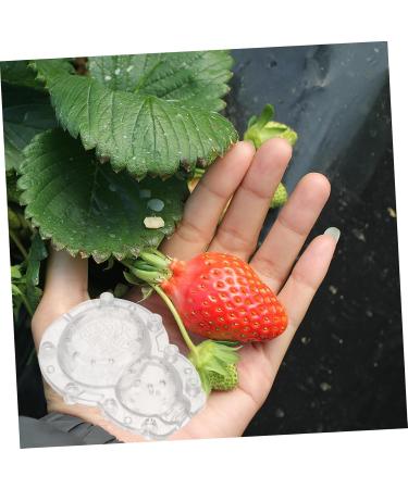 Parliky 1 Set Shaping Convenient Fruits Vegetable Shaper Ginseng Fruits and Vegetables Plastic - Buy Online on GoSupps.com