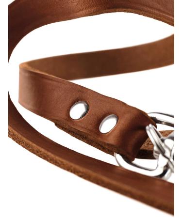 Buy HUNTER Adjustable Leather Dog Leash - Durable & Supple 1.6 x 200 cm in Cognac | International Shipping - Buy Online on GoSupps.com