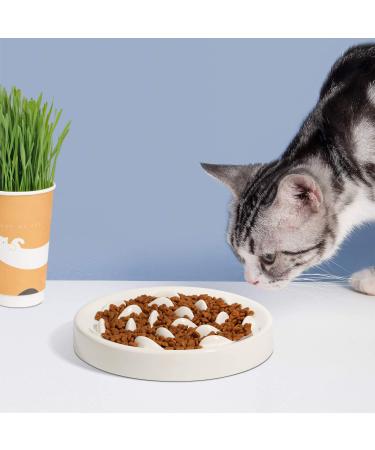 MSBC Pet Slow Feed Dish for Cats and Small Dogs - Fish Pool Design, Interactive Bloat Stop Puzzle Feeder Bowl - Healthy Eating Diet, Food Grade Material - Easy to Clean, Dishwasher Safe, Small - White - Buy Online on GoSupps.com