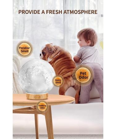 MEIDI Essential Oil Diffuser - Aromatherapy Moon Lamp with Humidifier - Adjustable Brightness & Mist Mode - Buy Online on GoSupps.com