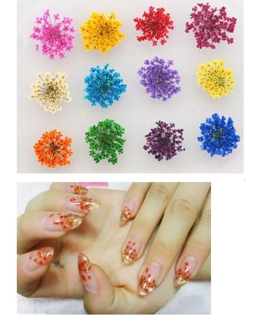 XICHEN 120 PCS 3D Nail Stickers - Five Flower Dried Flower Applique for Nail Art - Buy Online on GoSupps.com