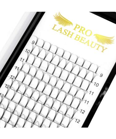 Finished eyelash compartments 3D 4D 5D 6D PLEASE VOLLUME OFTESSIONS 0.07 0.10 eyelash extension eyelashes 5D-D-07 13mm 13 mm 5D-D 07