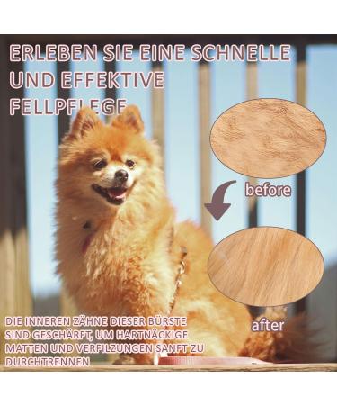May Huang De Filtering Knife Cat - 4-Piece Multifunctional Pet Hair Removal Comb Set for Undercoat & Feast | Portable Grooming Tools for Cats - Buy Online on GoSupps.com
