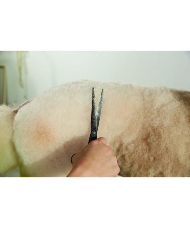 Andis Premium Pet Grooming Accessories - Left-Handed Straight Scissors for Precision Grooming - Buy Online on GoSupps.com