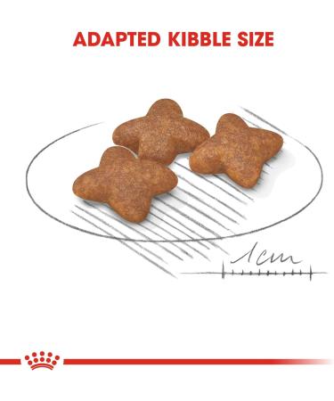 ROYAL CANIN 8kg Mini Adult Dry Dog Food - Buy Online on GoSupps.com