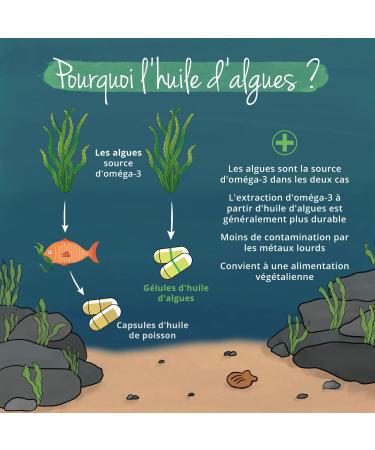 Omega 3 VEGAN | 1500 mg Algae Oil with 450 mg DHA & 225 mg EPA | 90 Capsules | 100% Natural and Without Additives | Brain + Memory | Vegavero  - Buy Online on GoSupps.com