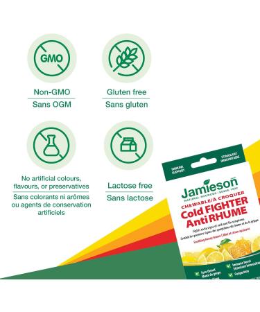 Cold Fighter Chewable - With Echinacea Ginger Vitamin C and Zinc Travel Size 10 Tablets 10 Count (Pack of 1) - Buy Online on GoSupps.com