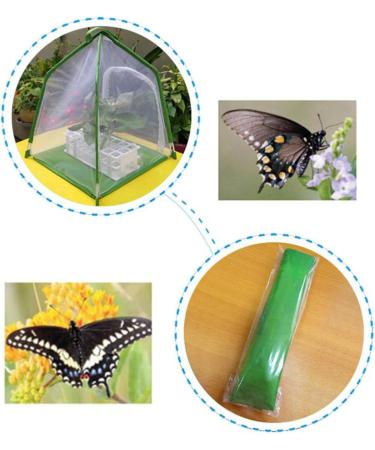 Fowybe Insect Habitat | Insect Habitat Cage Catcher Plant Net With Hook | U-Shaped Opening Mesh Net Cage For Caterpillars - Buy Online on GoSupps.com