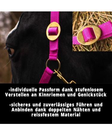 Buy Adjustable Pink Horse Delini Foal Halter - Knitting Halter for Wooden Horses - Perfect Fit for Foals - Buy Online on GoSupps.com