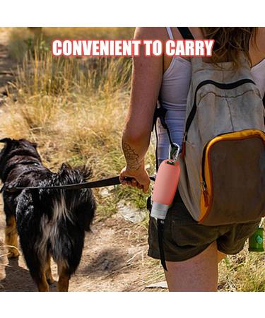 Nuyhadds 1 Set Travel Bottle - Silicone Fillable Tubes Travel Containers Set | 90ml Leak Proof Refillable Bottle with Carabiner Portable Outdoor Travel Toiletry Container for Dog Shampoo Lotion 1 Set (Pink) - Buy Online on GoSupps.com