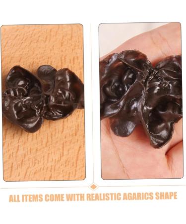 Cabilock 12pcs Lifelike Agarics Toy Kitchen Decorations Artificial Fungus Simulation Vegetable Artificial Food Model Lifelike Fungus Models Fake Vegetables Model Toys Celery Ornaments Pvc - Buy Online on GoSupps.com