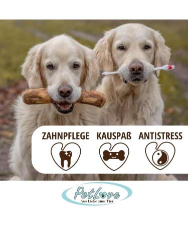 Petlove Coffee Wood Chewing Toy for Dogs | Natural Wooden Bones for Dental Care | Caffeine-Free | Medium & Large Dogs - Buy Online on GoSupps.com