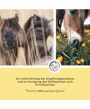 Annimally Liver Kidney Liquid for Horses - 1000ml Herbal Juice with Dandelion & Artichoke for Healthy Metabolism - Buy Online on GoSupps.com