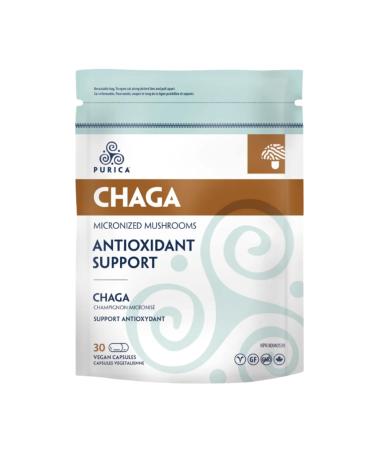 PURICA - Chaga Micronized Mushrooms 30 Vegan Capsules - Source of Antioxidants for the Maintenance of Good Health 30 count (Pack of 1)
