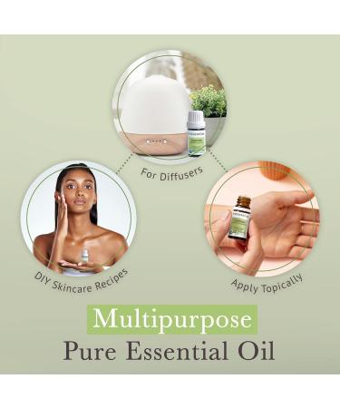 Pranarom USDA Certified Organic Lavender Essential Oil (5ml) 100% Pure Undiluted Therapeutic Grade from French Alps for Aromatherapy Diffuser Healthy Skin & Hair Massage Relaxation 0.17 Fl Oz (Pack of 1) - Buy Online on GoSupps.com