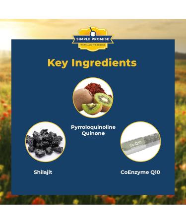 Simple Promise Heart & Liver Wellness Bundle Supports Cardiovascular & Metabolic Health CardioClear7 & Levitox for Heart Health Liver Support Circulation & Energy 30 & 60 Capsules - Buy Online on GoSupps.com