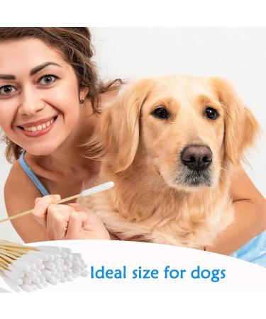 CEZKFH 300 Pack Cotton Swabs for Dogs & Cats - Long 15cm Pet Ear Cleaning Sticks - Ideal for Ear Care & Hygiene - Buy Online on GoSupps.com
