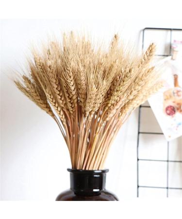 Golden Dried Wheat Sheaves - Dried Wheat Sheaves Bundle - Natural Wheat Stalks Bundle Bouquet Decor Golden Dried Natural Wheat for Vase Farmhouse DIY Home Wedding Valentine's Joberio - Buy Online on GoSupps.com