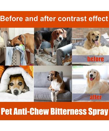 120ml Anti Chew Spray for Dogs Bitter Dog Spray to Stop Chewing Chew Deterrent Spray No Chew Bitter Spray Pet Corrector Spray for Dogs Deterrent Dog Spray to Stop Chewing Anti Chew Deterrents for Dog - Buy Online on GoSupps.com