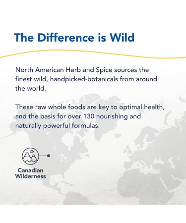 North American Herb & Spice ChagaMilk Drink Mix - 3.5 oz. - Adaptogen Adrenal Support Endurance & Stamina - Chaga Wild Mushroom Powder Whole Food Herbs - Non-GMO - 36 Servings - Buy Online on GoSupps.com