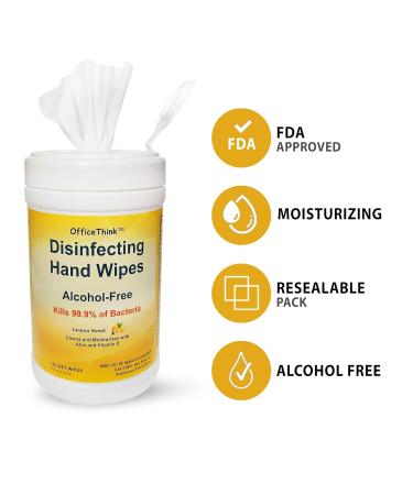 Disinfecting Antibacterial Wet Hand Wipes 2-Pack - Lemon Scented, Alcohol-Free, Moisturizing with Aloe & Vitamin E - 200ct Total - Buy Online on GoSupps.com