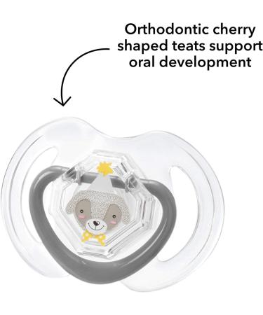 Nuby Newborn Baby Bottle Starter Set with Teats, Brush, Soother, Bib, and Teether - Buy Online on GoSupps.com