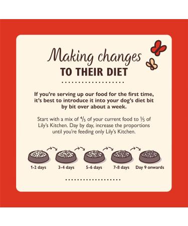 Buy Lily's Kitchen Organic Wet Dog Food for Adult Dogs - Beef (11 x 150g Pack) | Healthy Gourmet Dog Meals - Buy Online on GoSupps.com