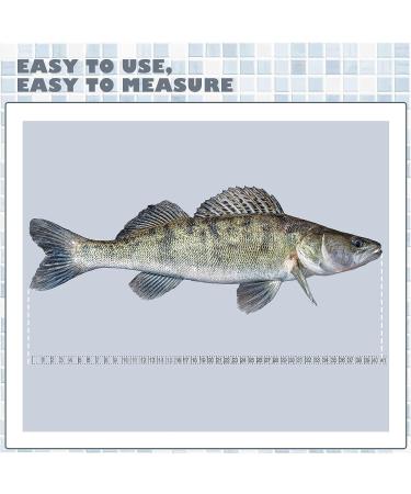 6 Pcs Fish Ruler Decal - Transparent Waterproof Adhesive Measuring Tape Sticker for Boat, Kayak, Net, Gaff - 42 Inch Clear Tape Measure for Fishing Accessories - Buy Online on GoSupps.com